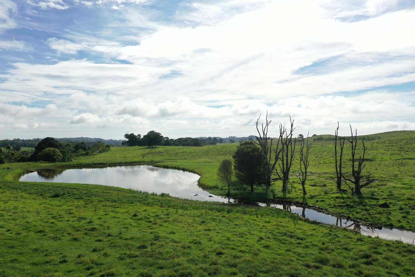 Constructed farm dam surrounded by green pasture, with a rock-lined spillway and standing trees nearby