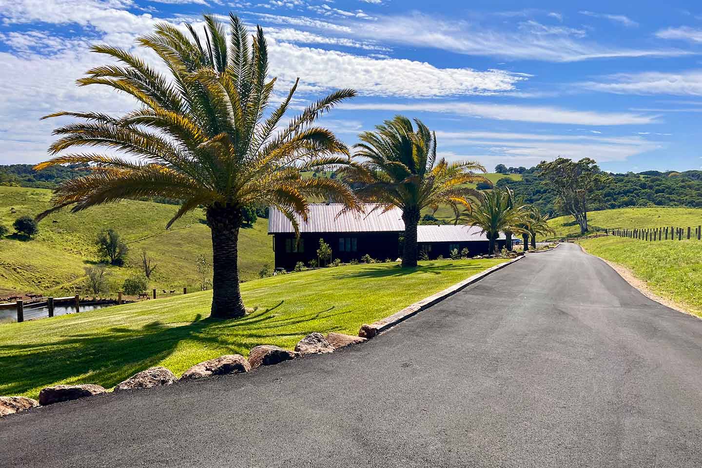 Driveway alongside green grass, palm trees and a house